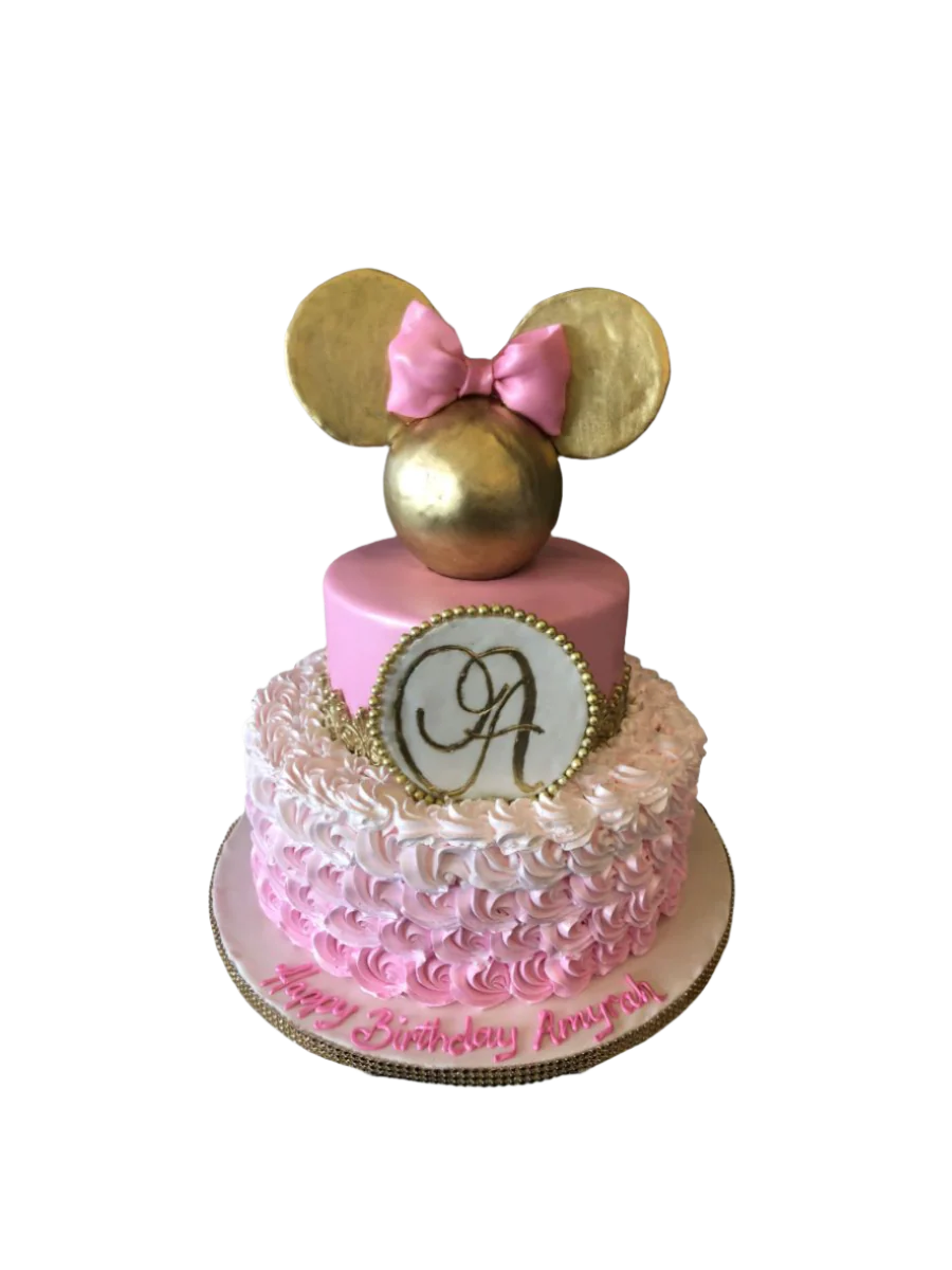 Amyrah Minnie Mouse Cake