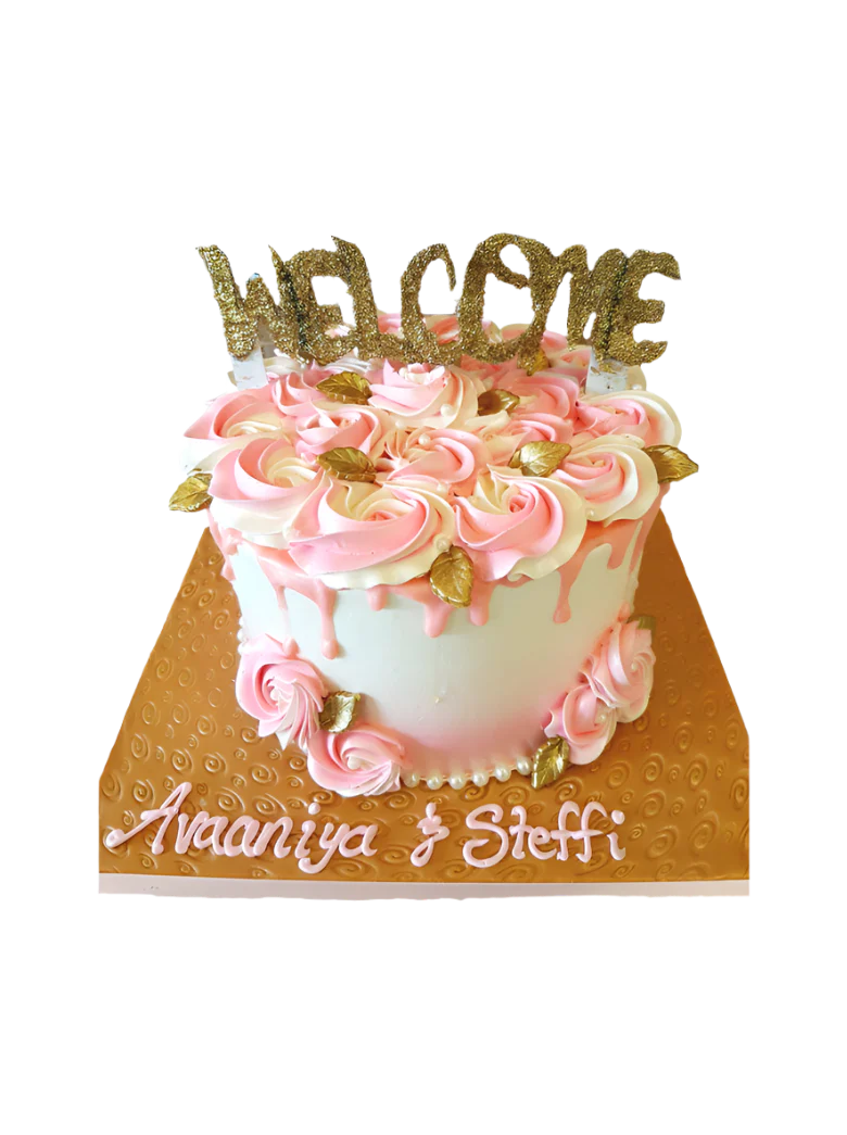 Avaaniya And Steffi Birthday Cake