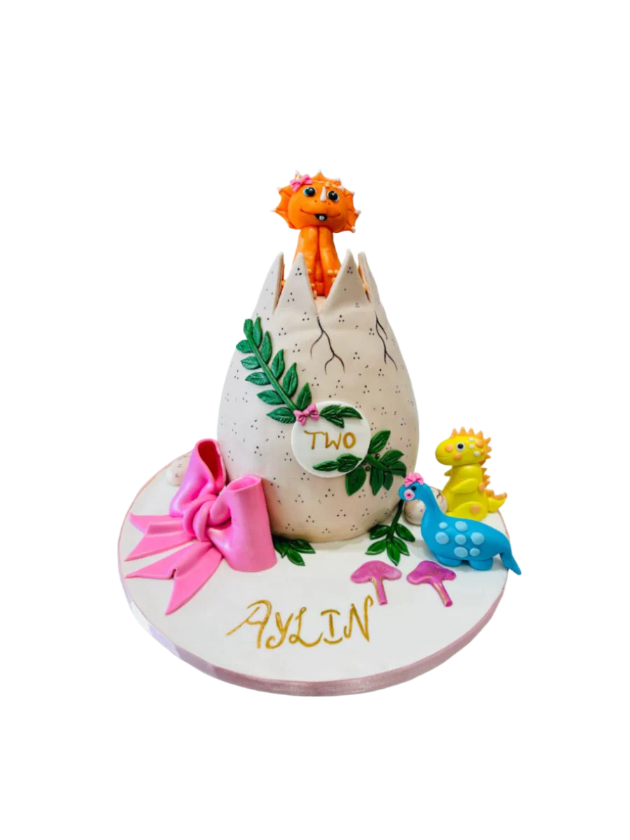 Aylin Dino Molded Cake