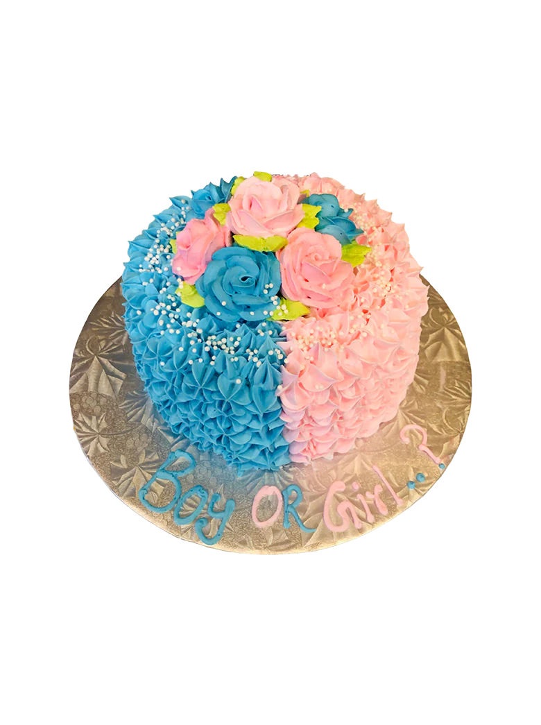 Boy Or Girl Baby Shower Cake
