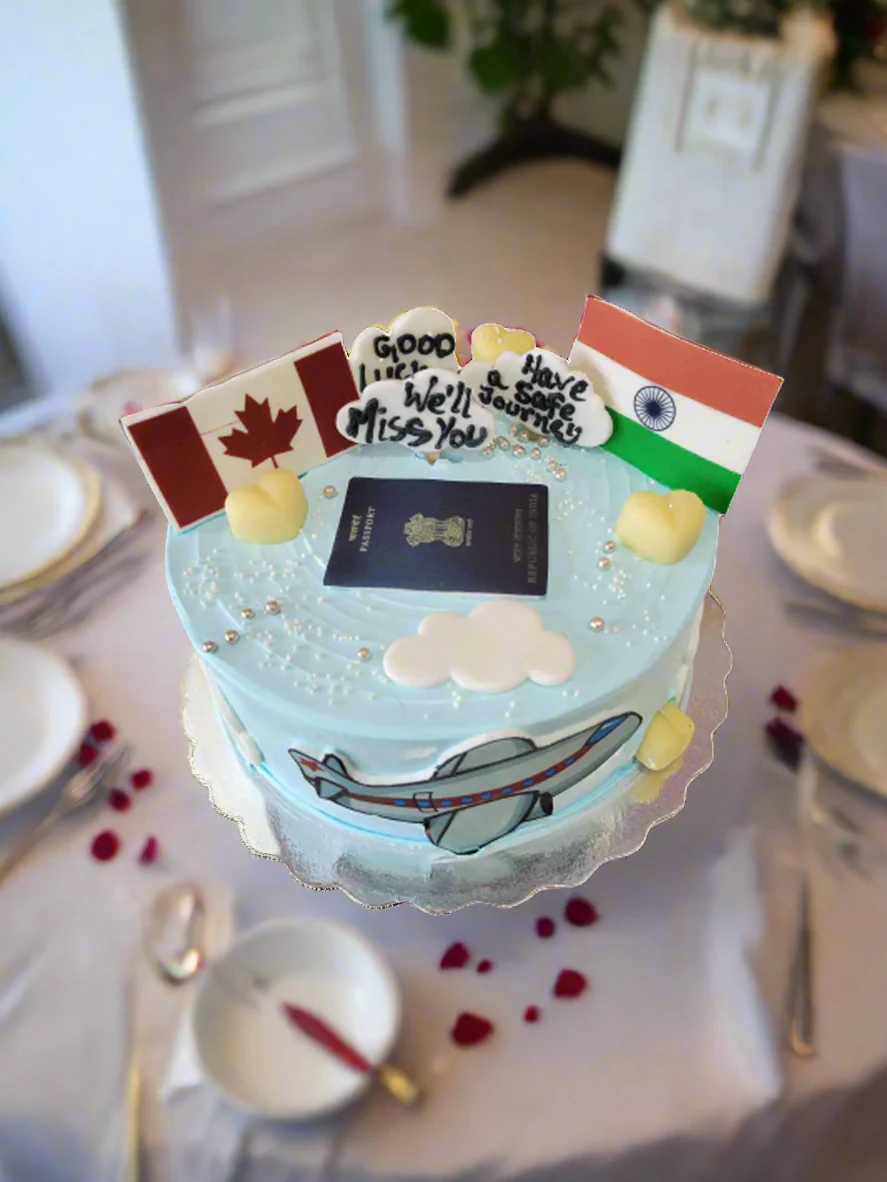 Canada To India Plane Cake - Image 4