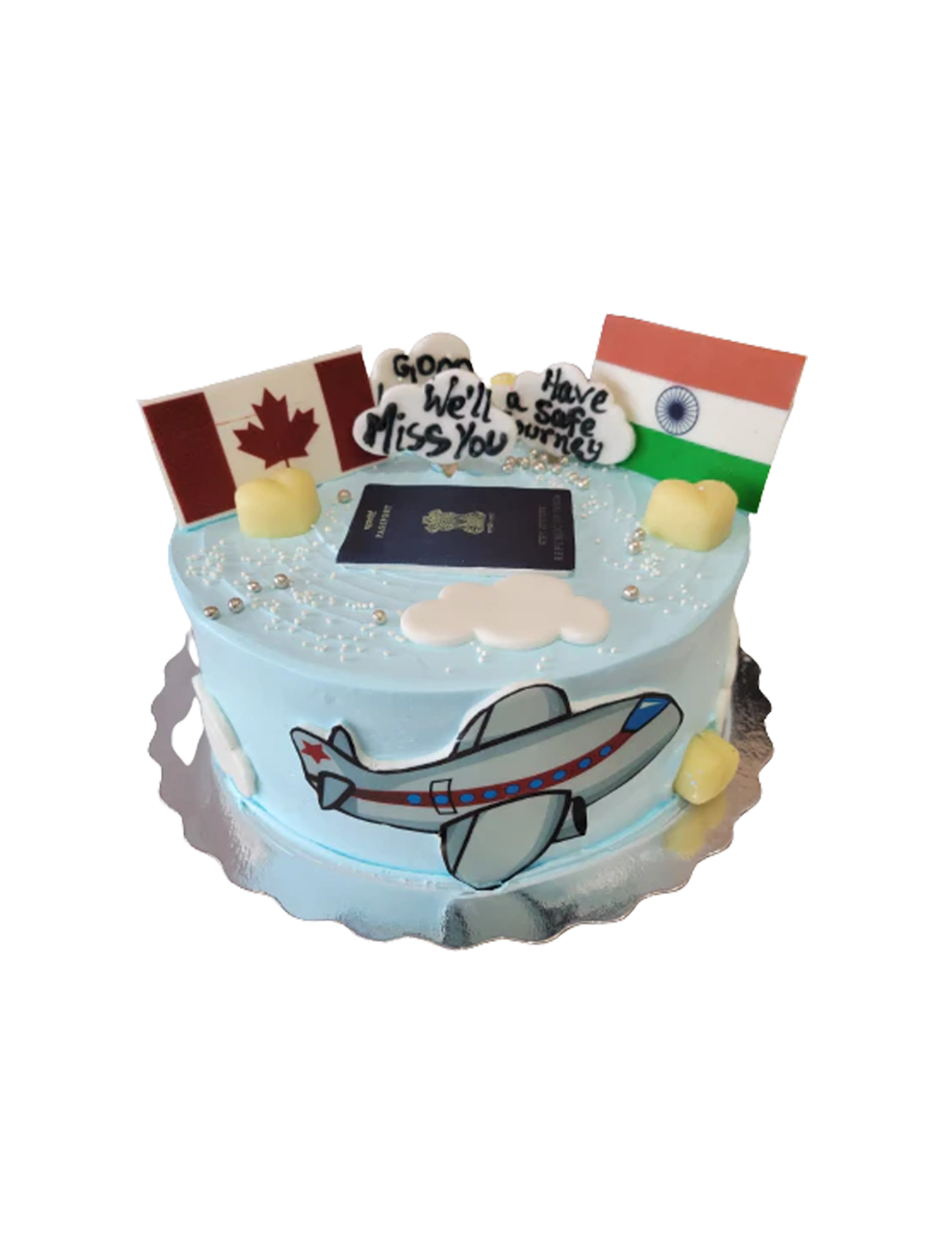 Canada To India Plane Cake - Image 5