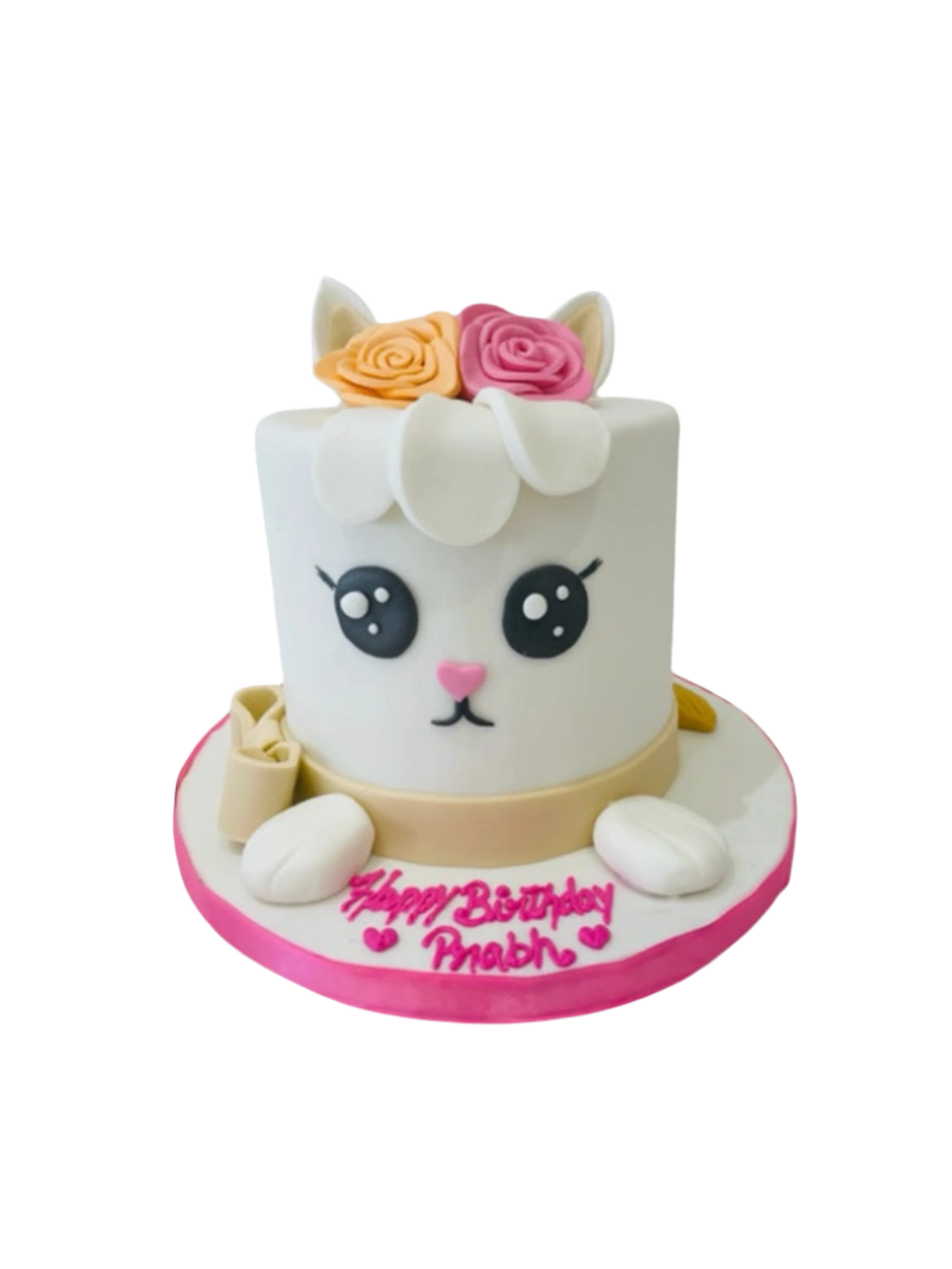 Cat Fondant Birthday Cake