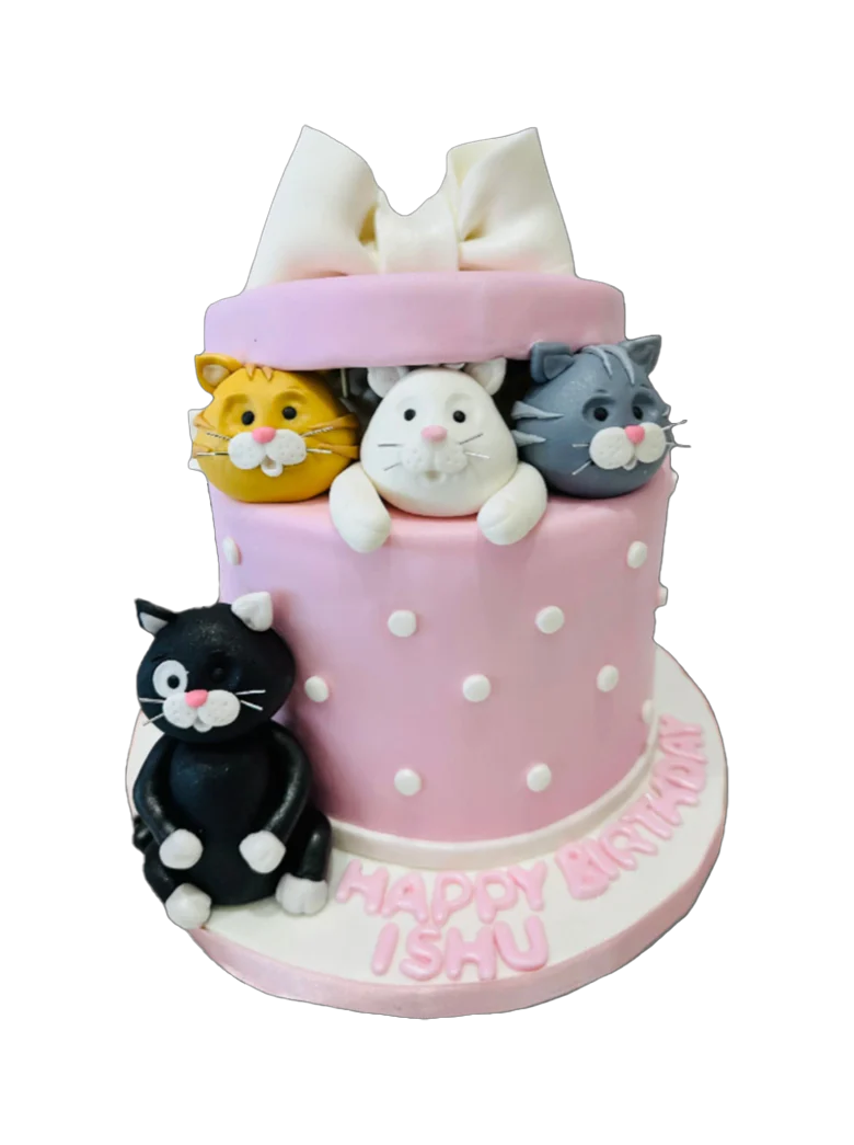 Cat Gift Box Fondant Cake