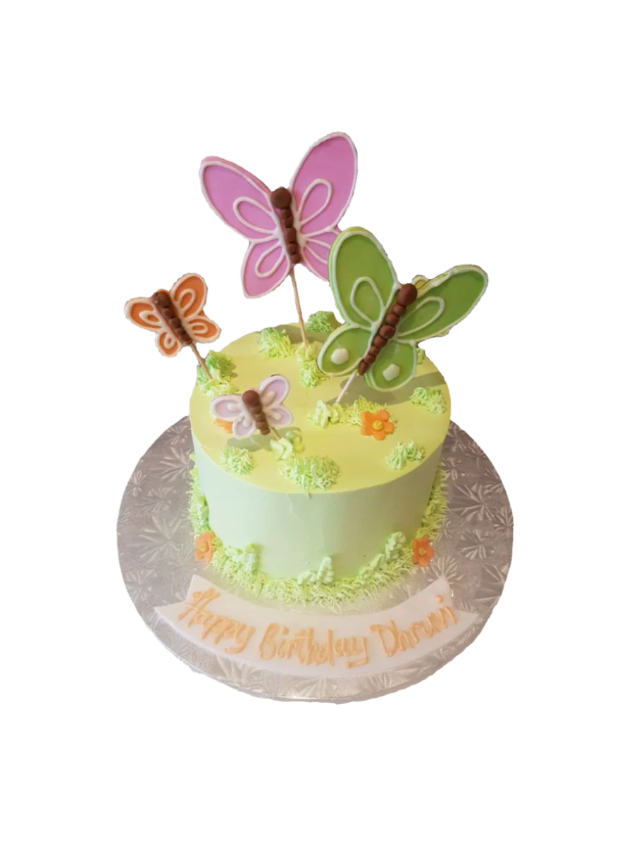 Dhruvi Butterfly Cake