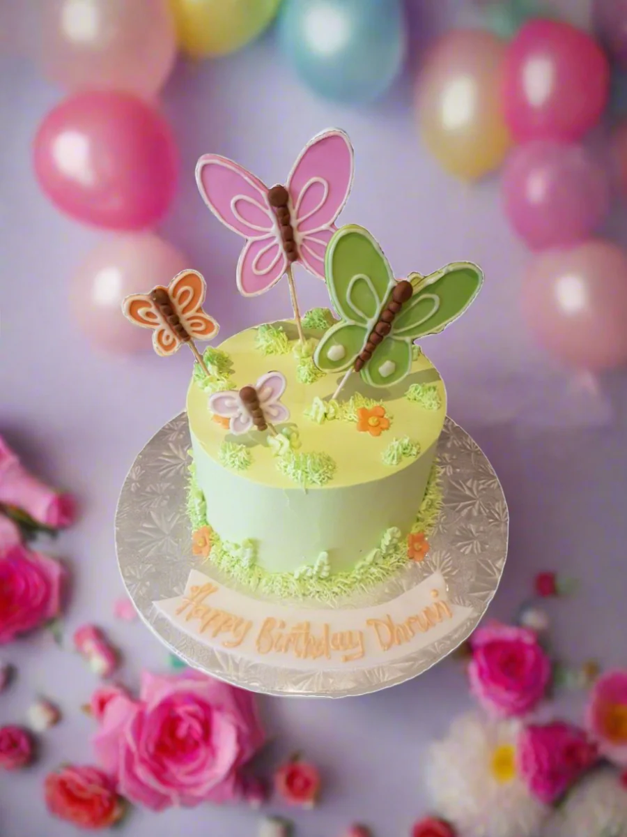 Dhruvi Butterfly Cake - Image 3