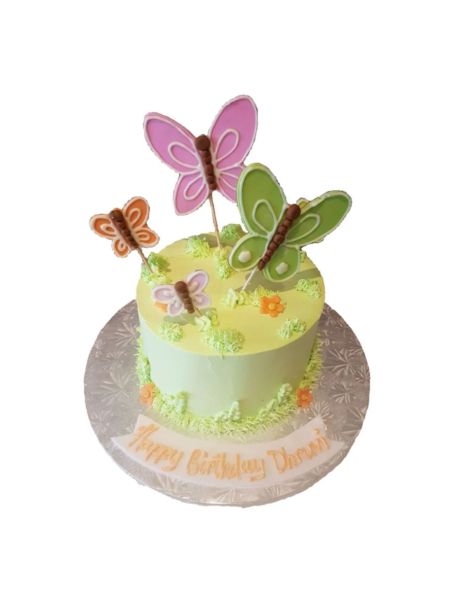Dhruvi Butterfly Cake - Image 5