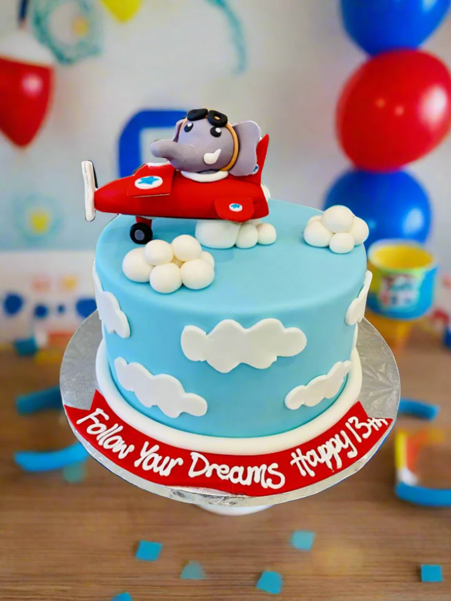 Elephant Aeroplane Fondant Cake - Image 3