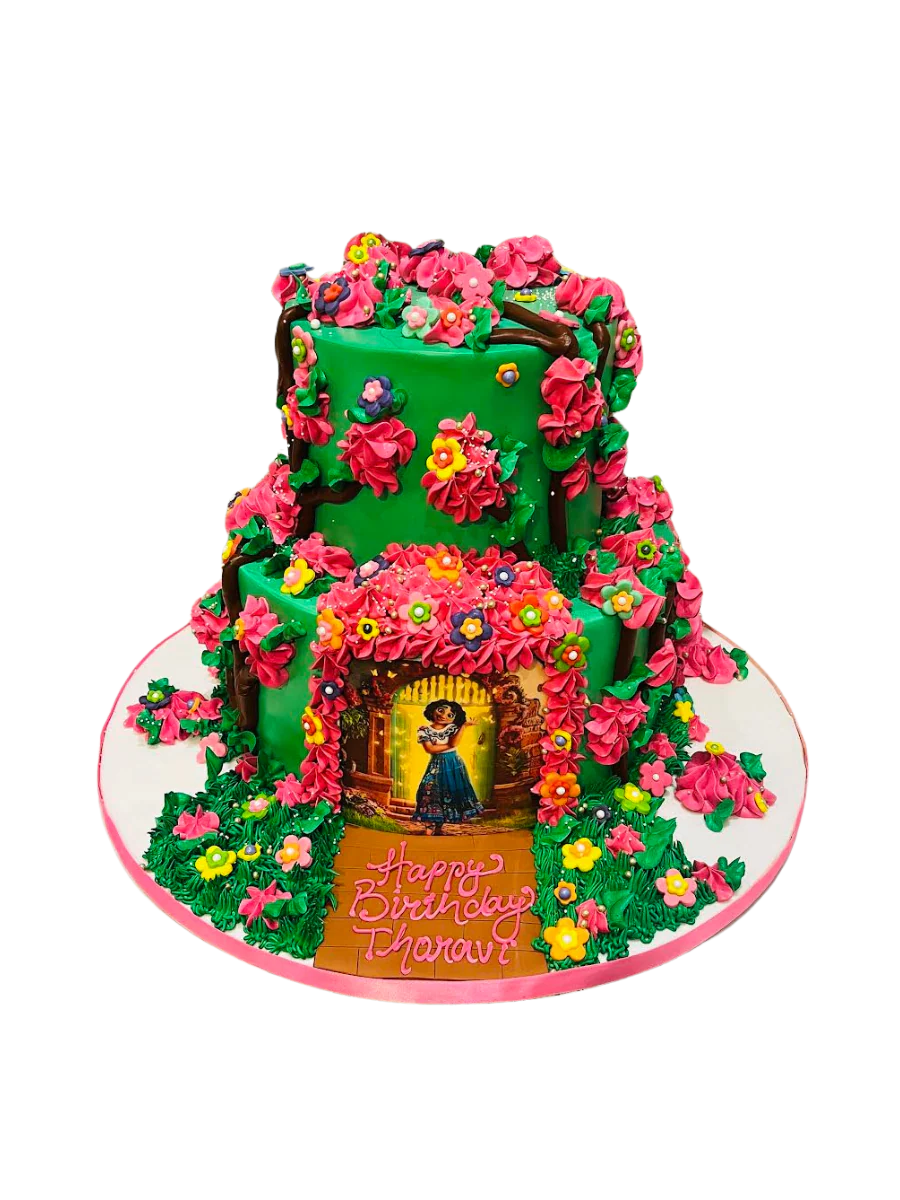 Encanto Tiered Cake