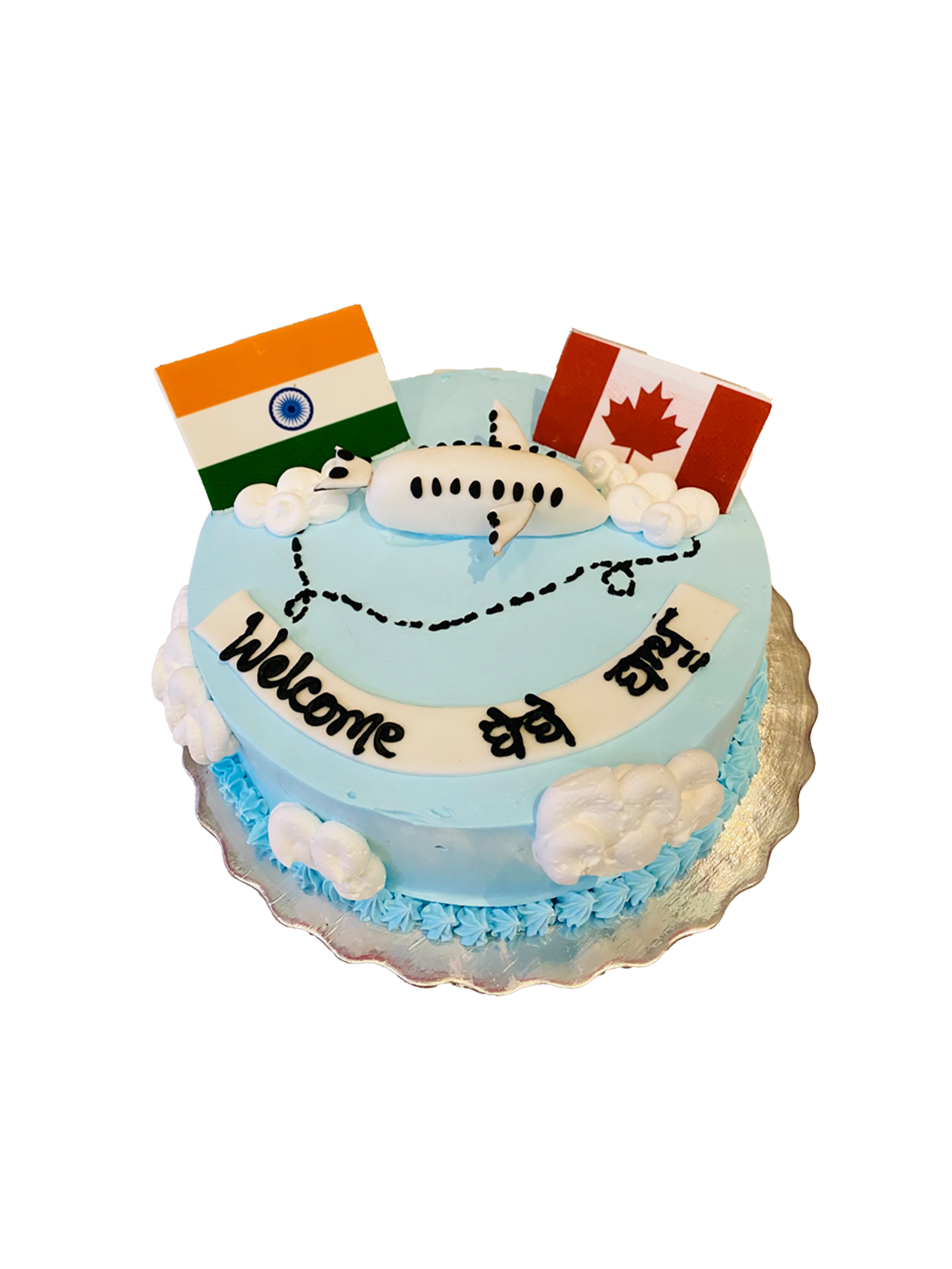 India To Canada Plane Cake