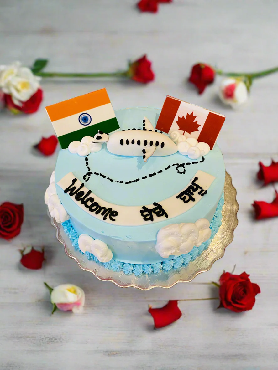 India To Canada Plane Cake - Image 2