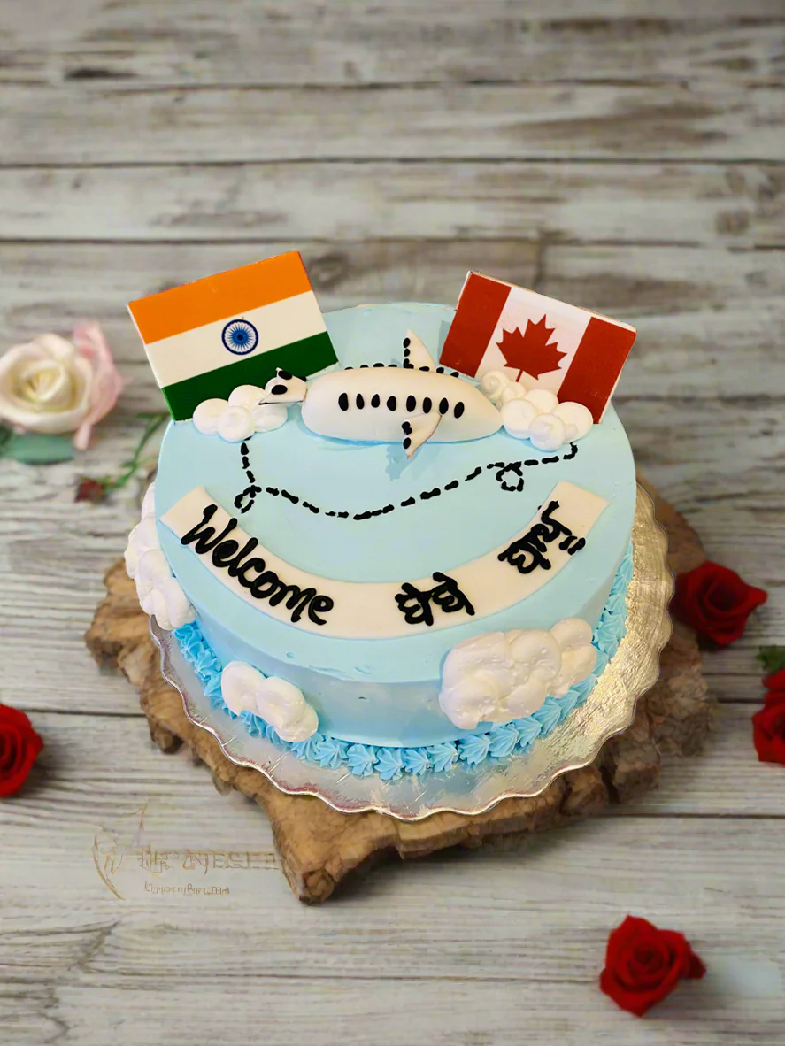 India To Canada Plane Cake - Image 3