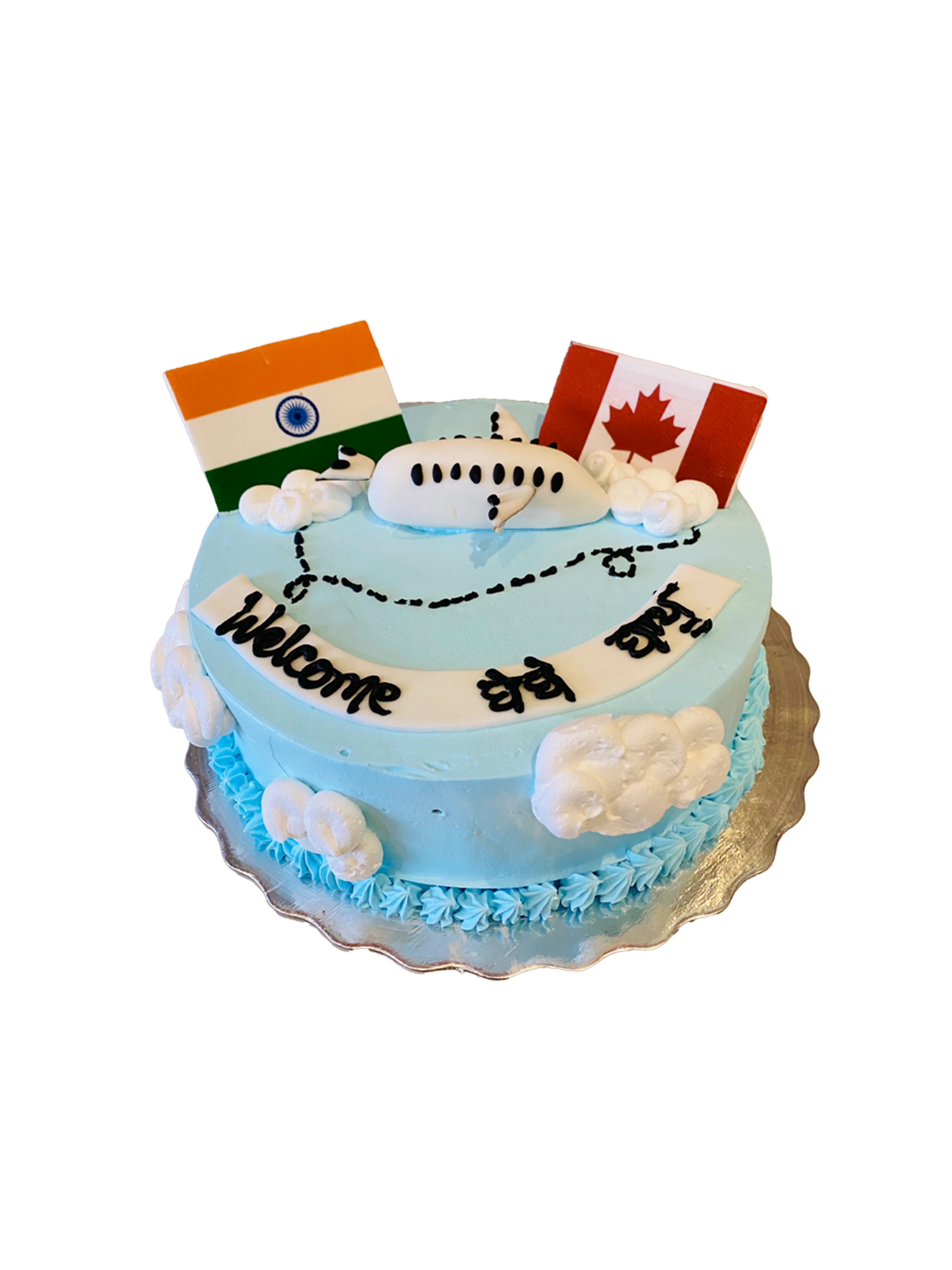 India To Canada Plane Cake - Image 4