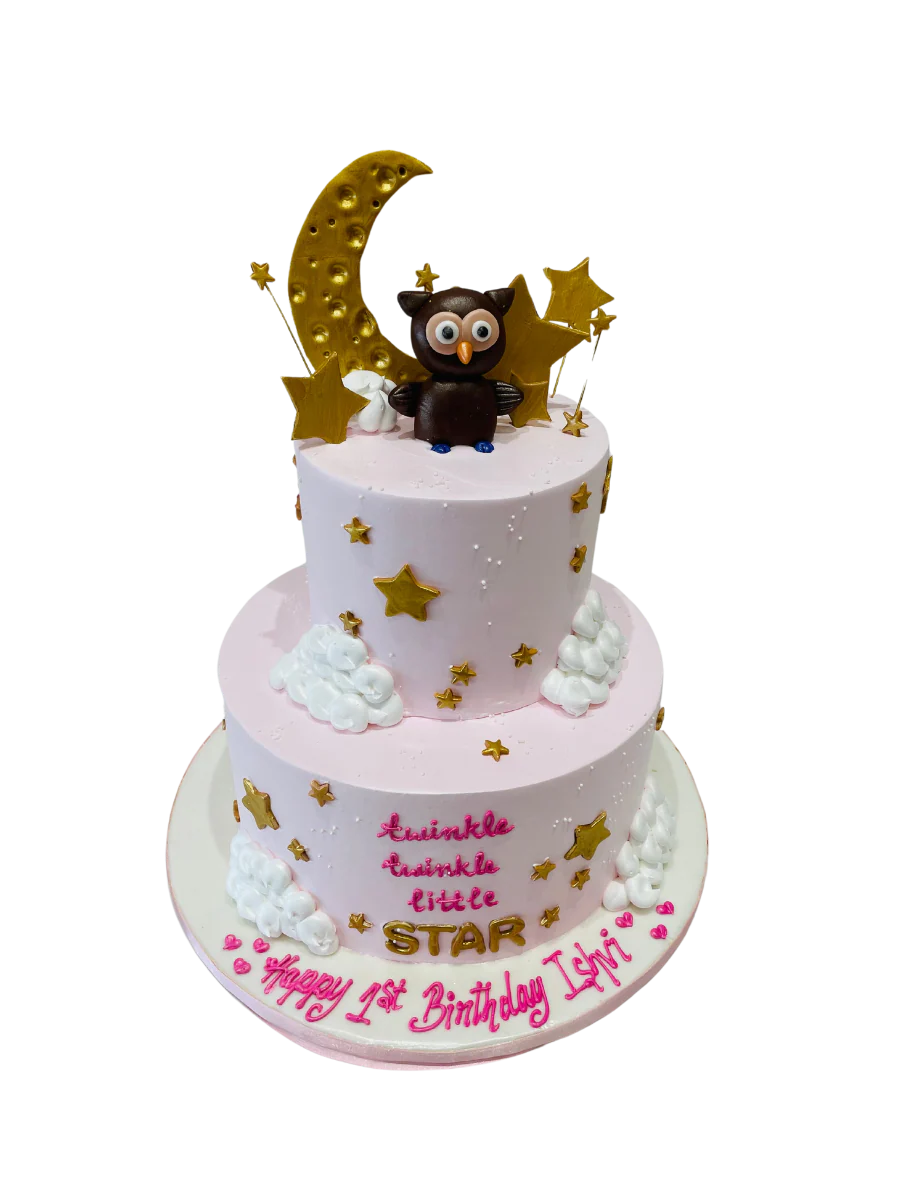 Ishvi Owl Cream Cake