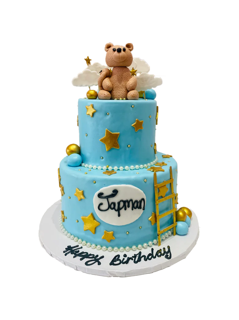 Japman Teddy Bear Fondant Cake