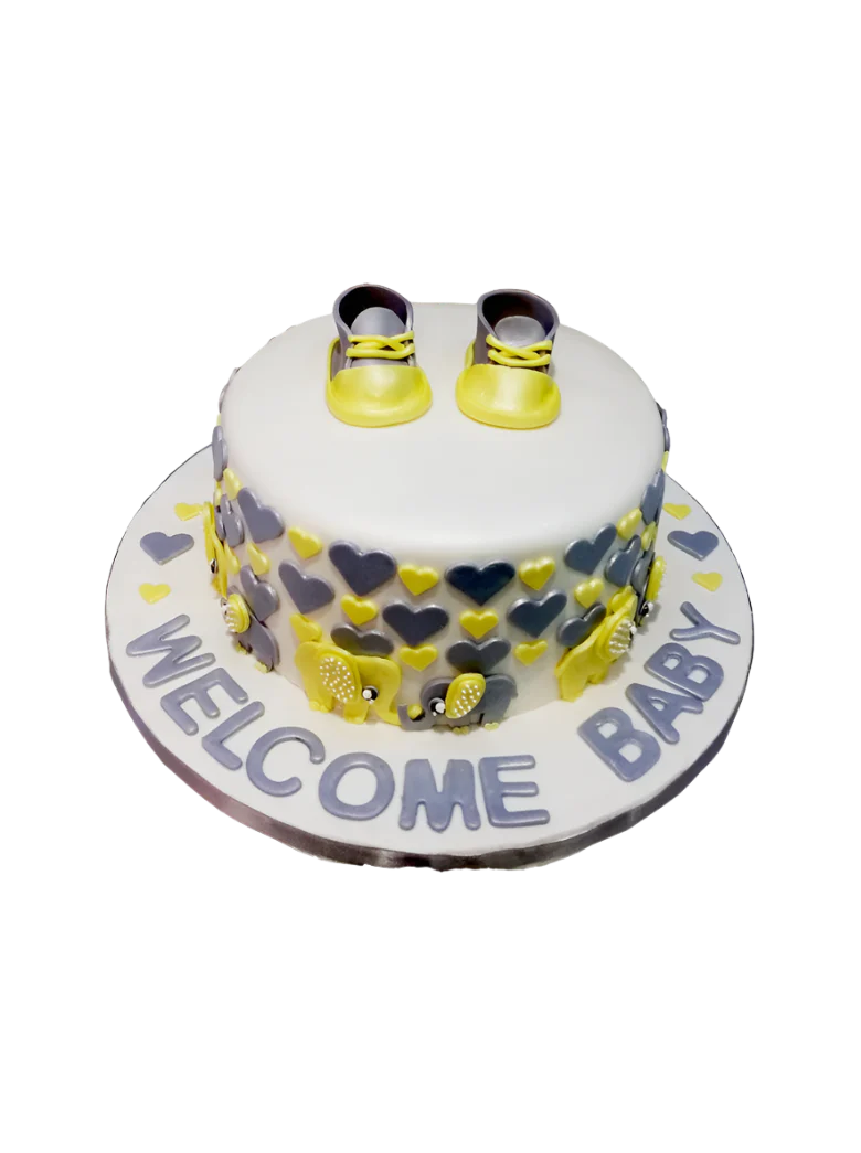 Michelle Baby Shower Cake