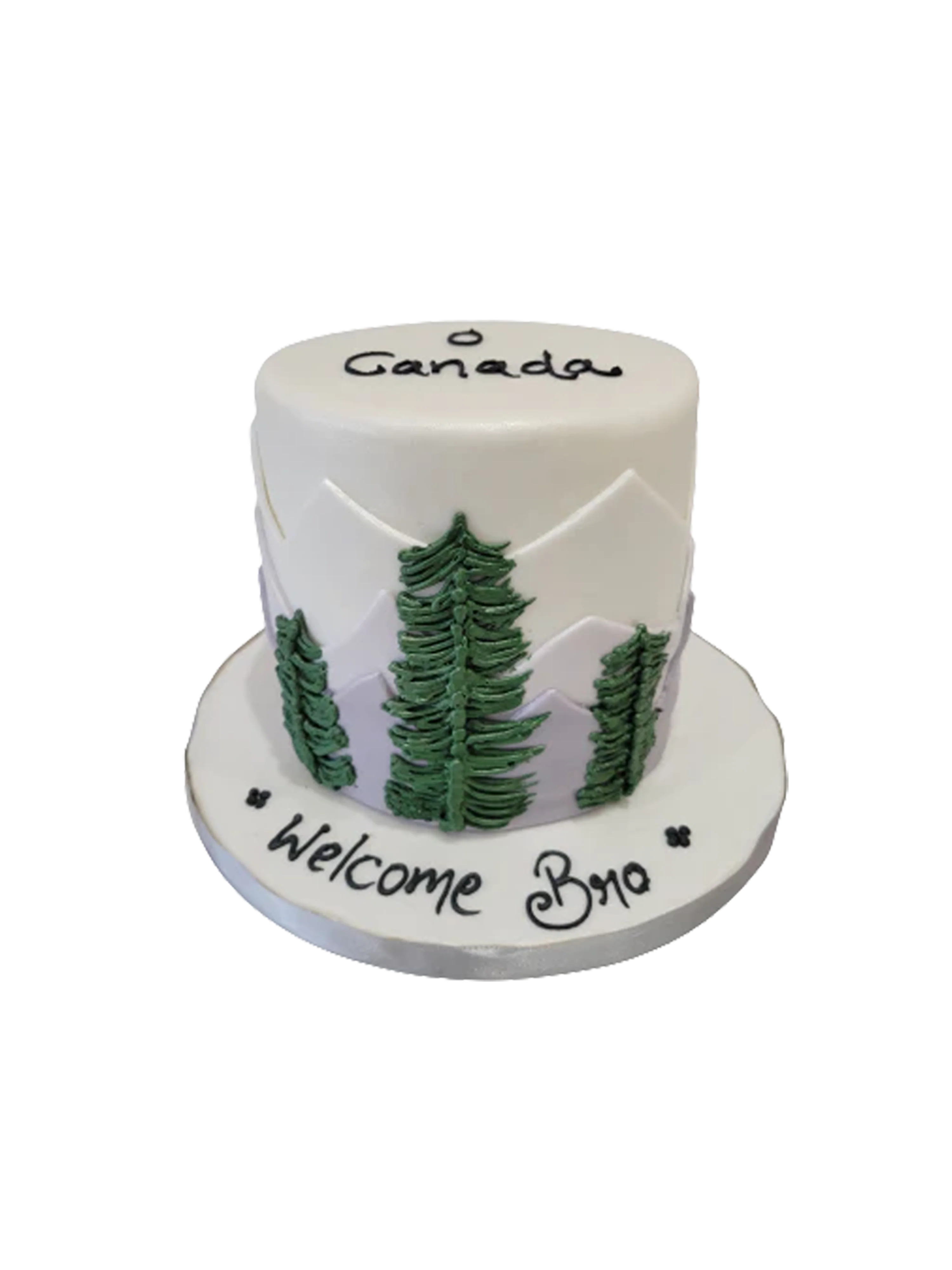 Oh Canada Winter Fondant Cake