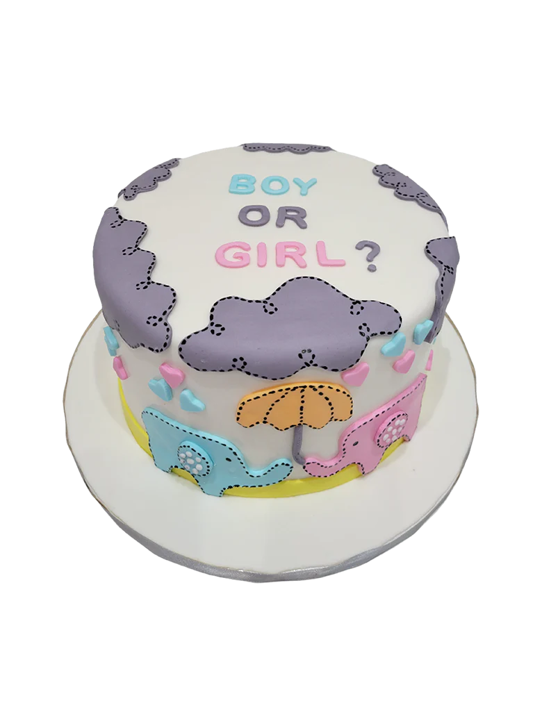Sam Elephant Theme Fondant Cake