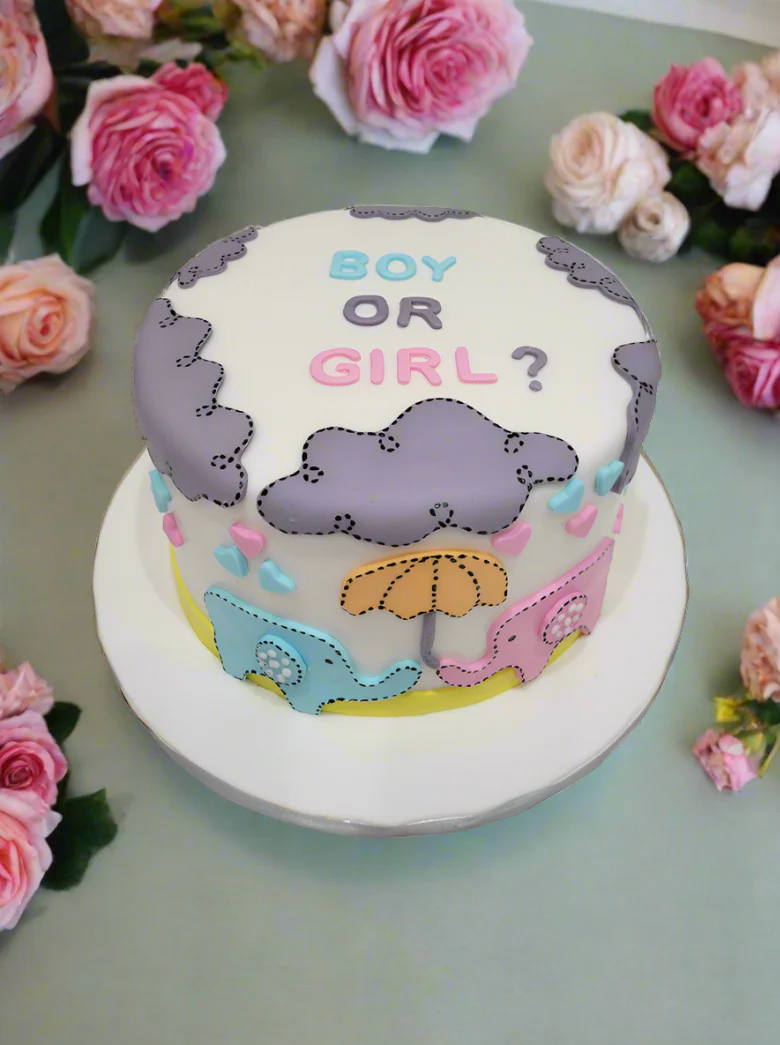 Sam Elephant Theme Fondant Cake - Image 2