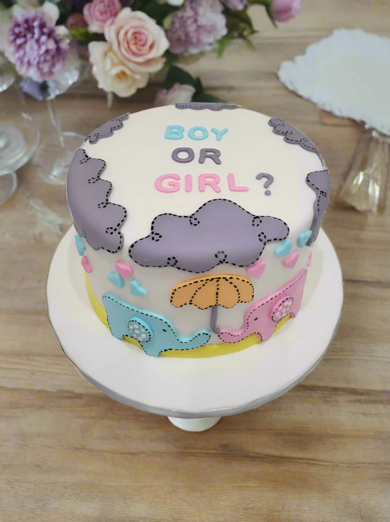 Sam Elephant Theme Fondant Cake - Image 3