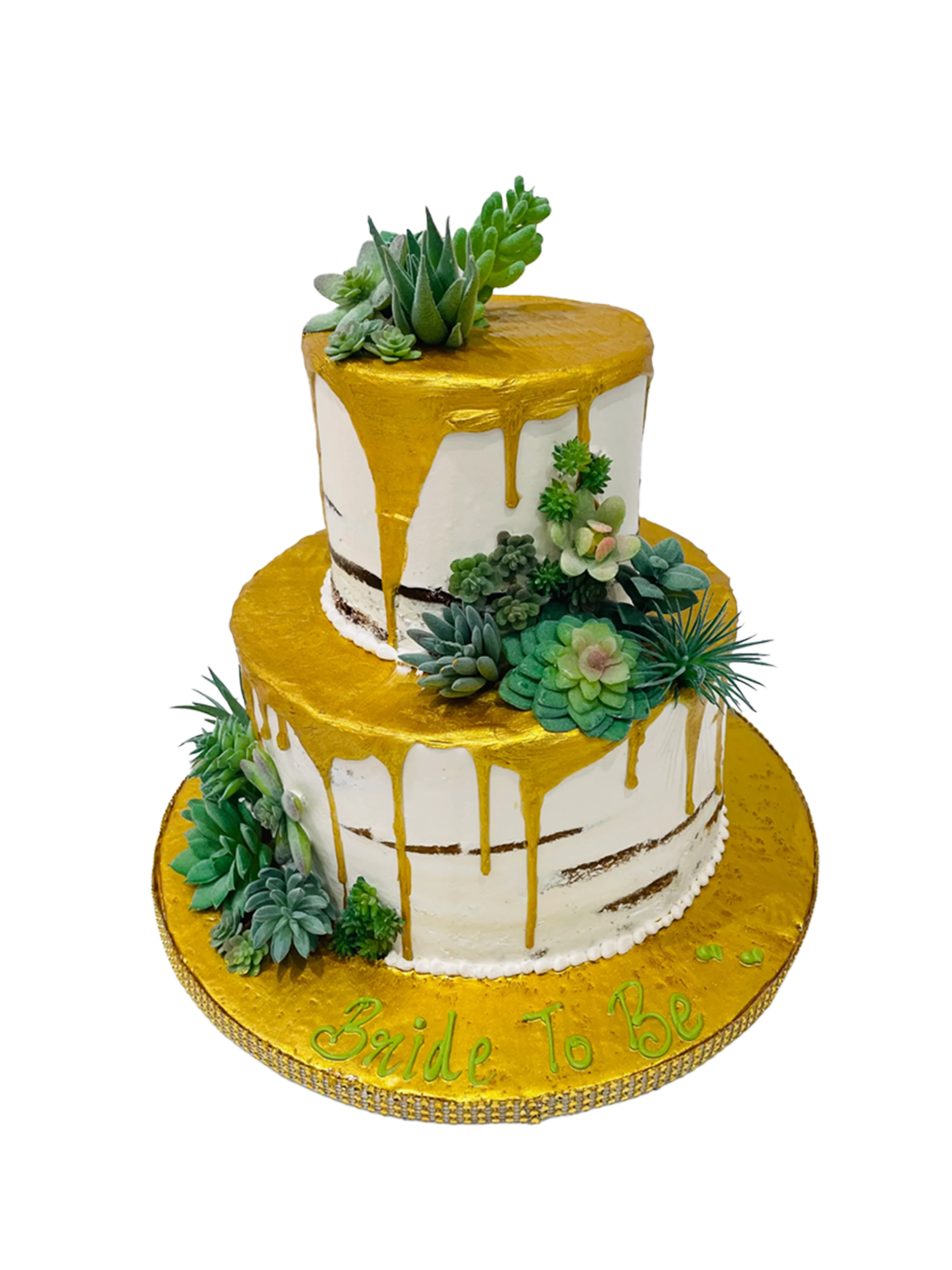 Succulents Tiered Cream Cake