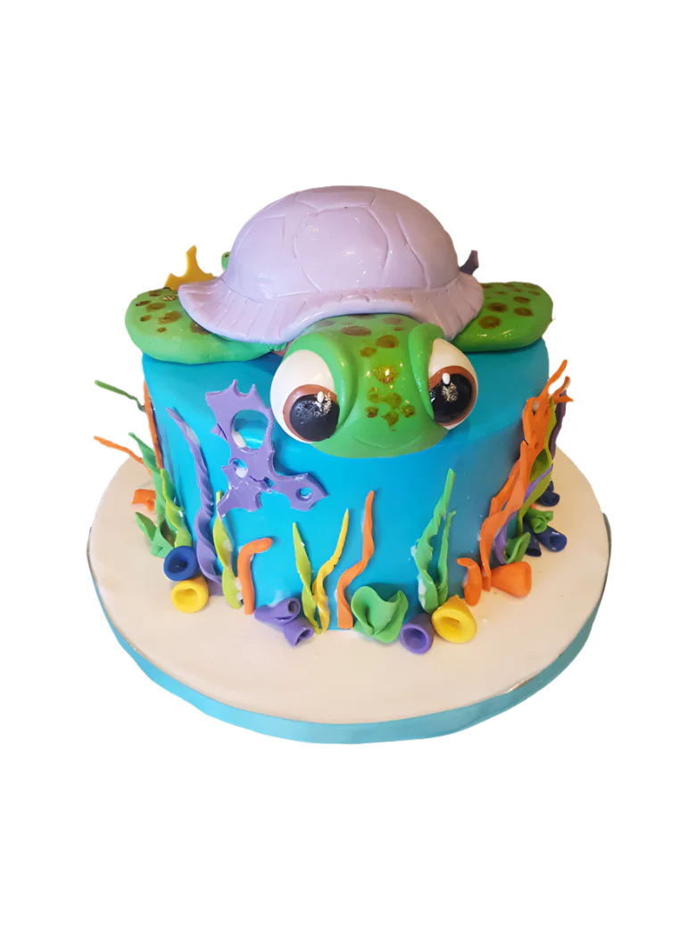 Turtle Fondant Cake