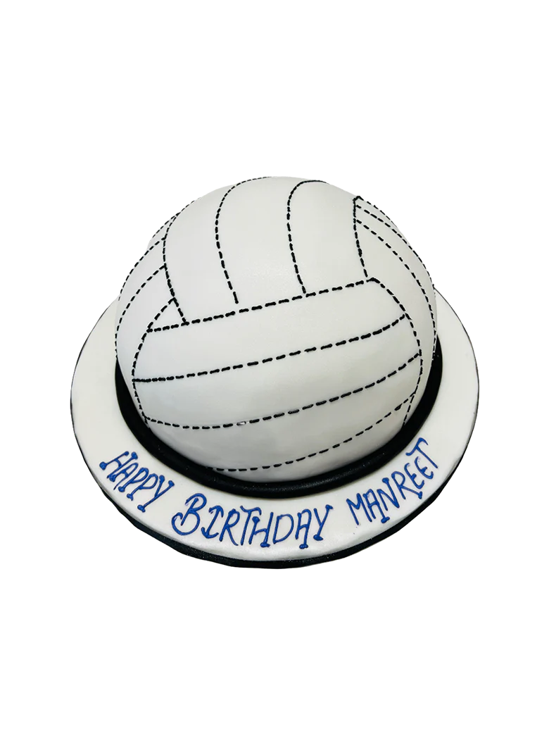Volleyball Molded Cake