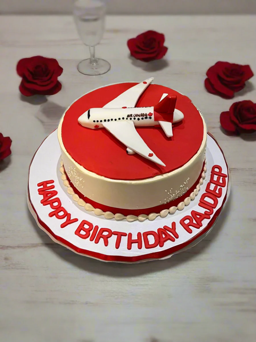 Welcome To Canada Plane Cake - Image 2