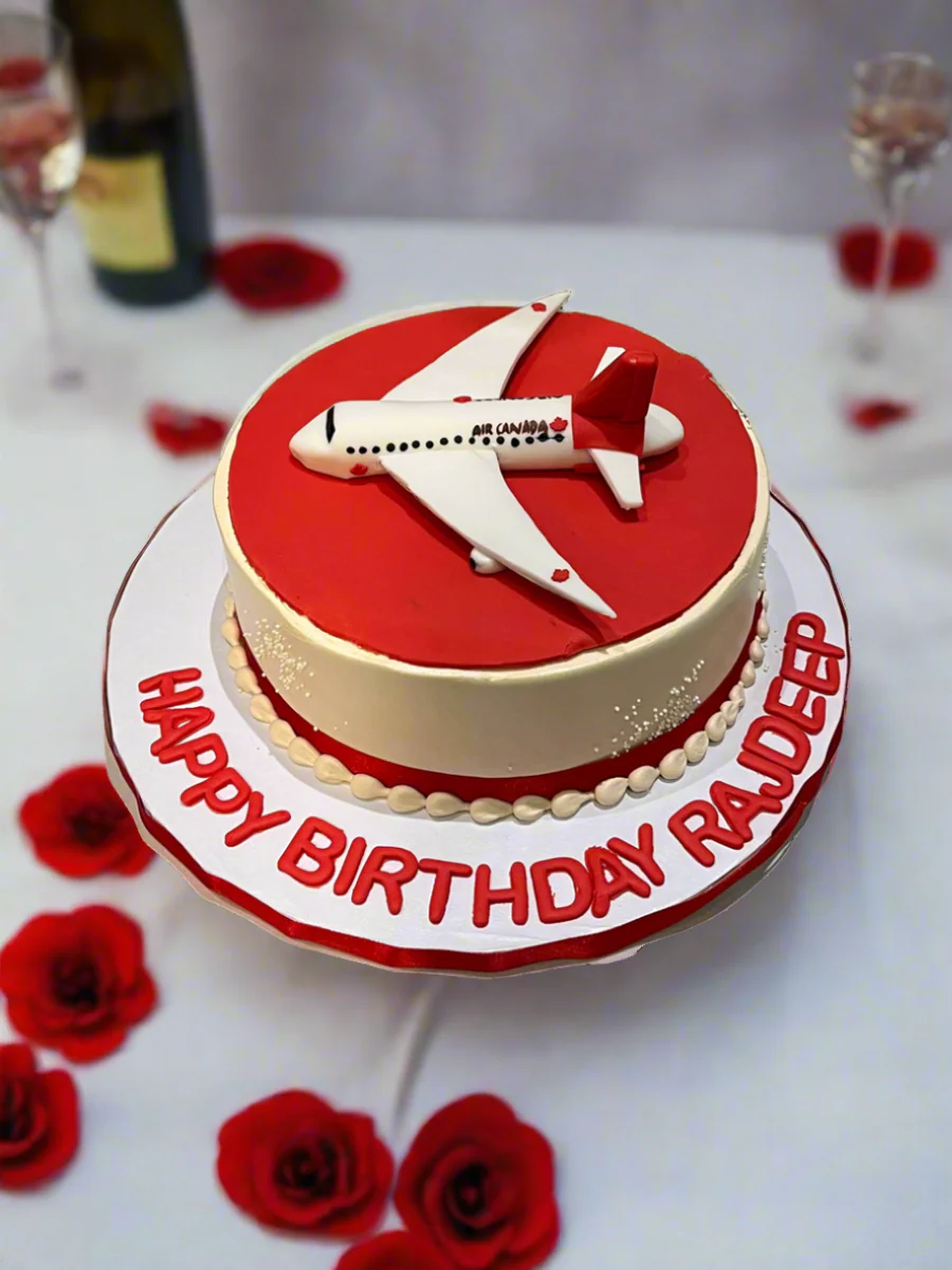 Welcome To Canada Plane Cake - Image 3