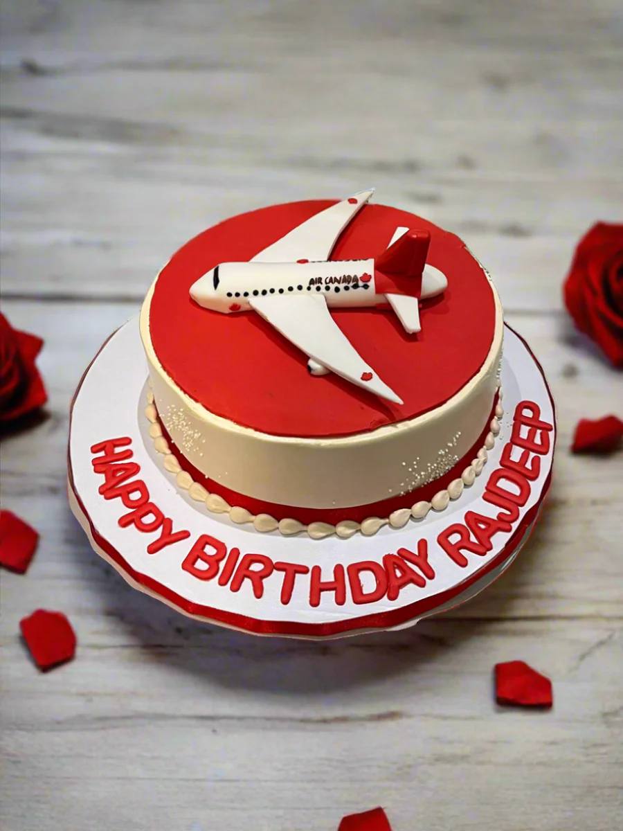 Welcome To Canada Plane Cake - Image 4