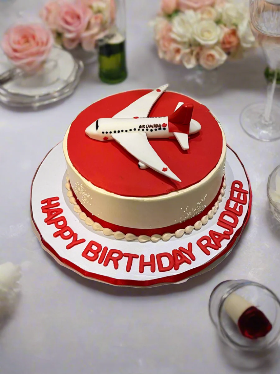 Welcome To Canada Plane Cake - Image 5